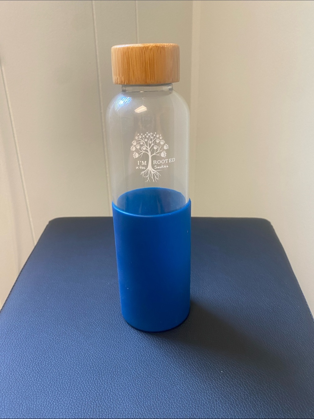Smokies Glass Water Bottle with Bamboo Lid
